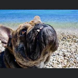 Meet your Posher, Jodi